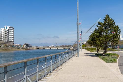 Sur les berges de la Liane
