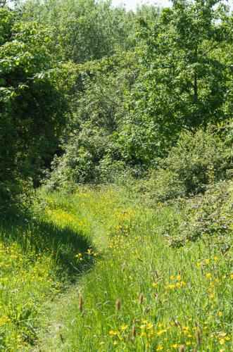 Sentier du Landacres