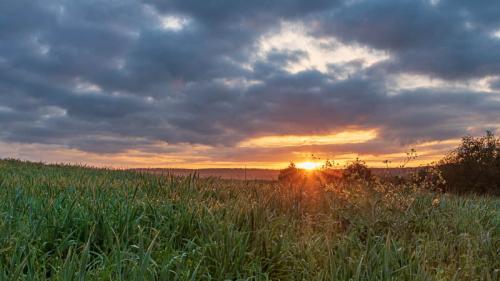 Lever de soleil sur la campagne boulonnaise