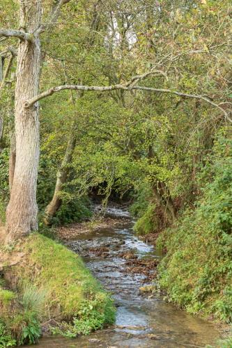 Le ruisseau de la Corette