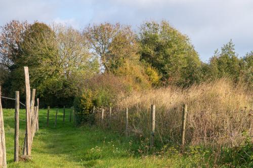 Sentier entre les pâtures