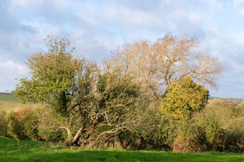 Campagne boulonnaise