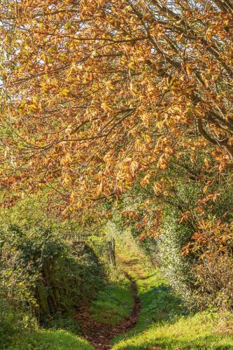 Sentier menant au Vallon de Ningles