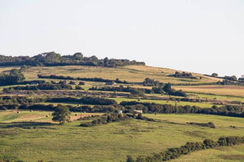 Collines du boulonnais