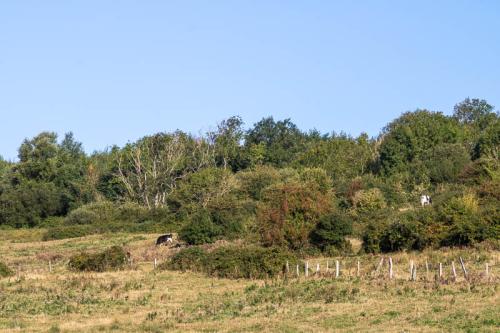 Bocage du Boulonnais