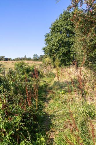 Le sentier de la Converserie