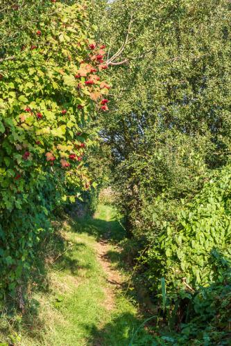 Sentier à Ecault
