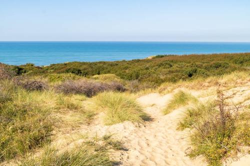Les dunes d'Ecault