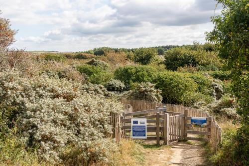 Accès à l'ENS des dunes de la Slack côté Ambleteuse