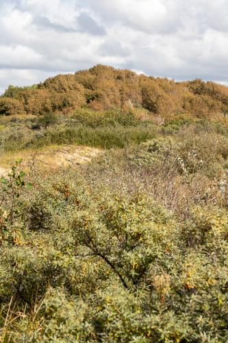 Les dunes de la Slack