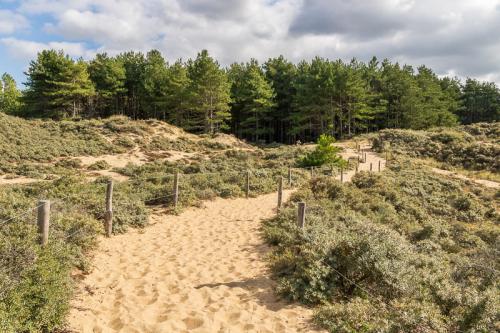 Sentier sablonneux et pinède dans les dunes de la Slack