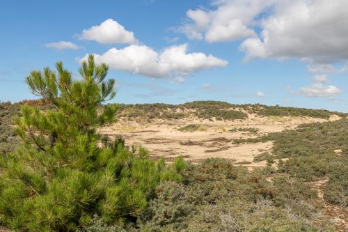 Les dunes de la Slack