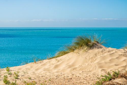 Dune et oyats face à la Manche