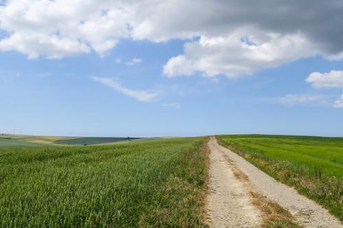 Chemin rural vers Frencq