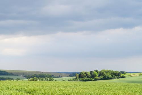 Paysage campagnard vers Frencq