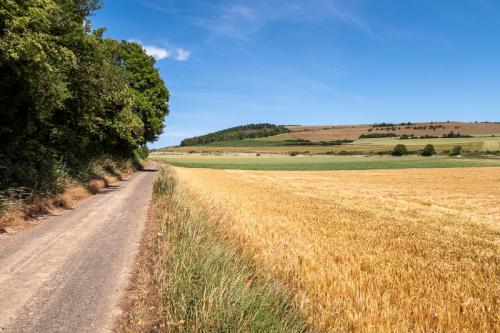 Paysage de campagne entre Neufchâtel-Hardelot et Nesles