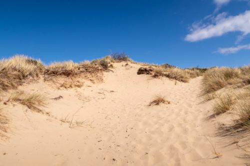 Dunes d'Ecault