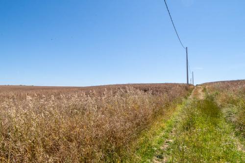 Chemin entre Le Portel et Equihen