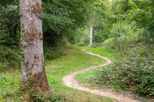 Sentier en forêt d'Hardelot