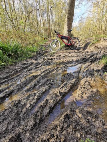 Le sentier forestier après la pluie...