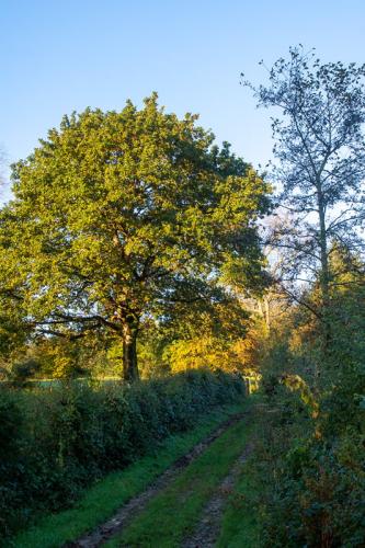 Campagne boulonnaise