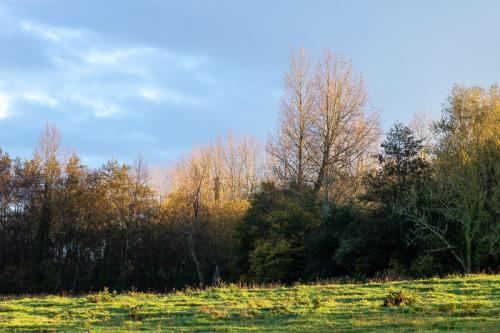 Campagne boulonnaise en fin d'automne