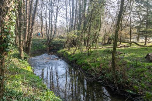Ruisseau de Longpré en forêt d'hardelot
