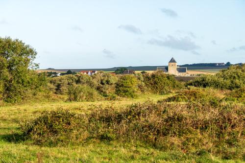 Pâture et haies à Audresselles