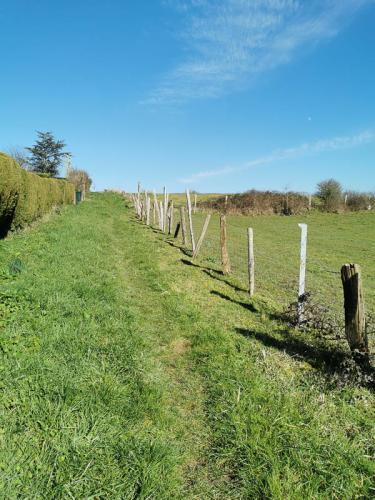 Sentier herbeux